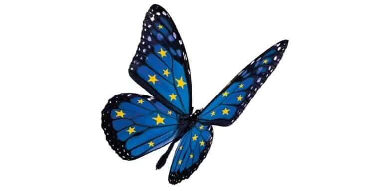 papillon_2